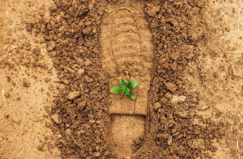 Çevresel Sürdürülebilirlik Nedir ve Neden Önemlidir? Çevresel Sürdürülebilirlik Nedir ve Neden Önemlidir?