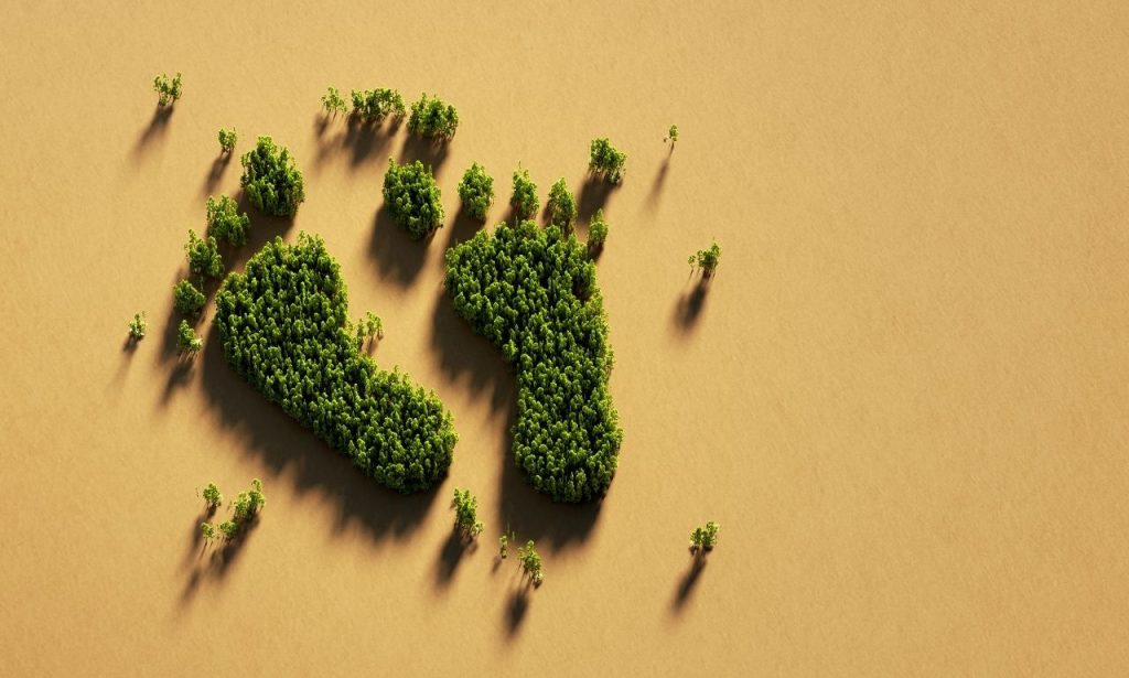 karbon-ayak-izi-nasil-olculur