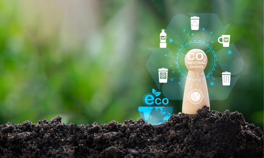 karbon-dongusu-nedir-neden-onemlidir