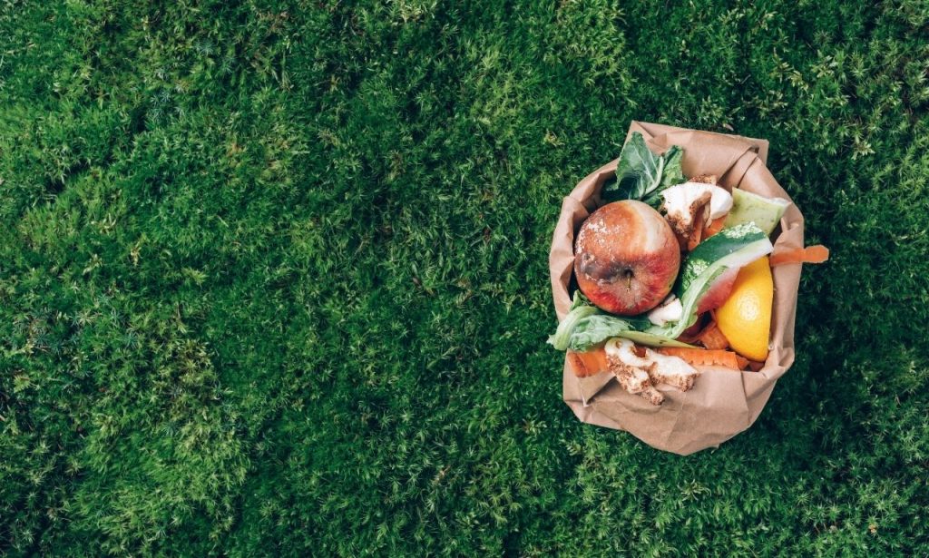 biyobozunur-atiklar-nelerdir-neden-onemli-min