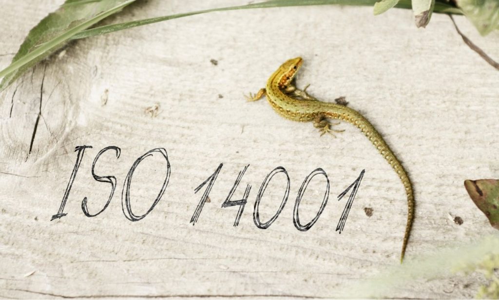 iso-14001-cevre-yonetim-sistemi-nedir