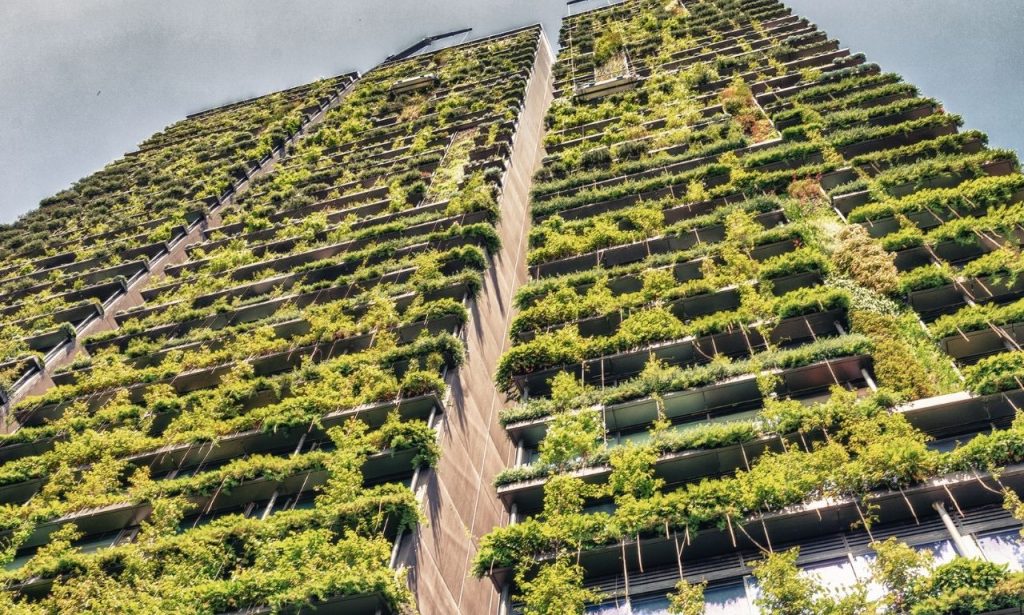 mimaride-biyomimikri-nedir-ne-ise-yarar-min