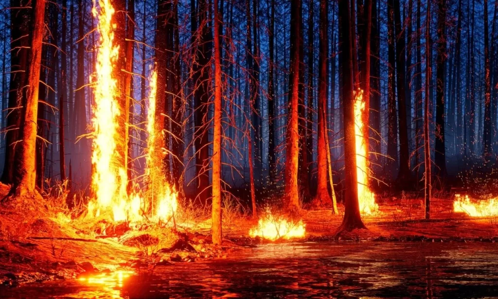 orman-yanginlarinin-nedenleri-ve-sonuclari