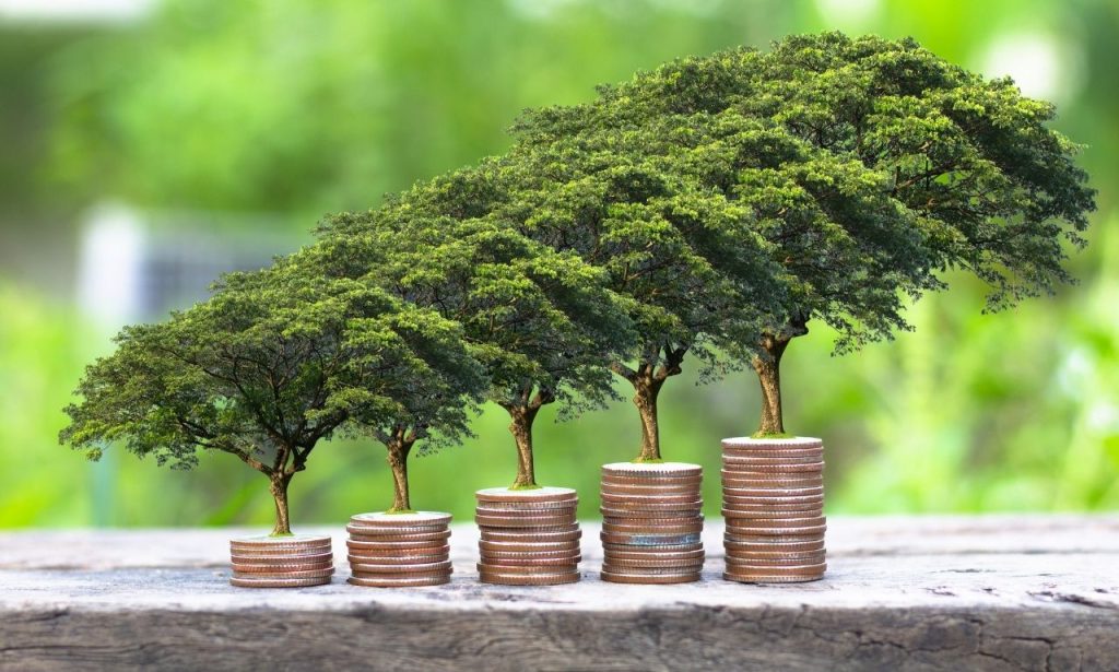 surdurulebilir-finans-nedir-ne-ise-yarar-min