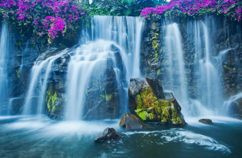 Nükleer Santraller Su Kaynaklarını Nasıl Kullanır? Nükleer Santraller Su Kaynaklarını Nasıl Kullanır?